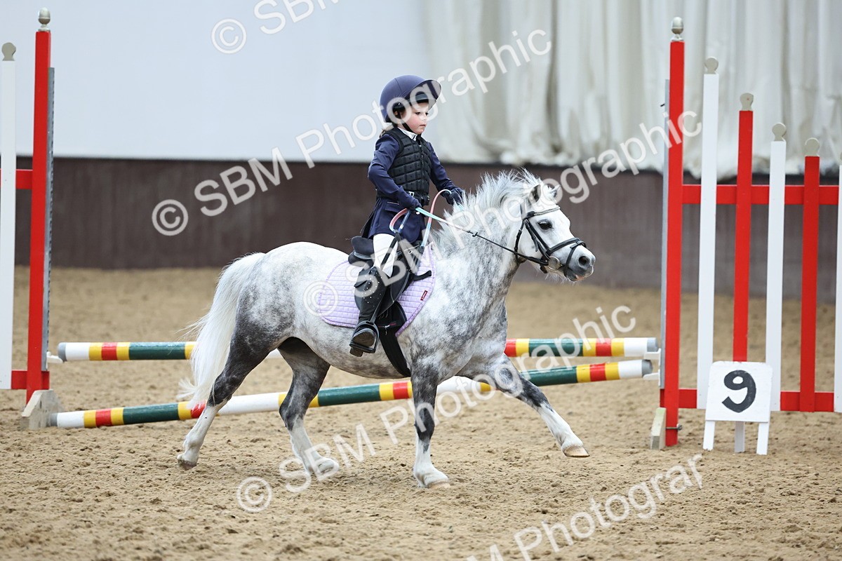 SBM_007390 - Class 2 - 50cm showjumping