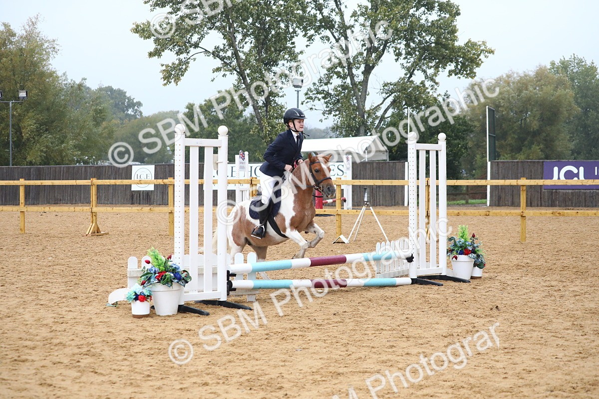 SBM_71766 - J4 - Mini Tour Junior Pony 45cm Championship