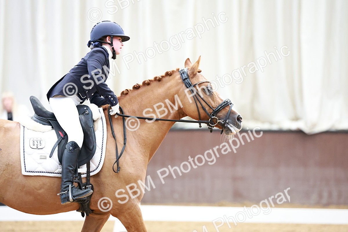 SBM_017094 - Class15 - FEI Pony