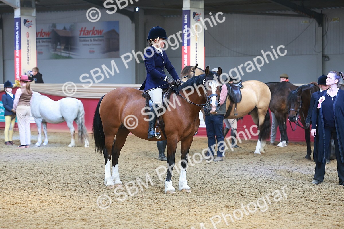 SBM_17816