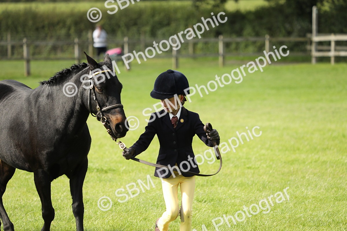 SBM_68580 - S40 - Junior Handler 9-12 Years