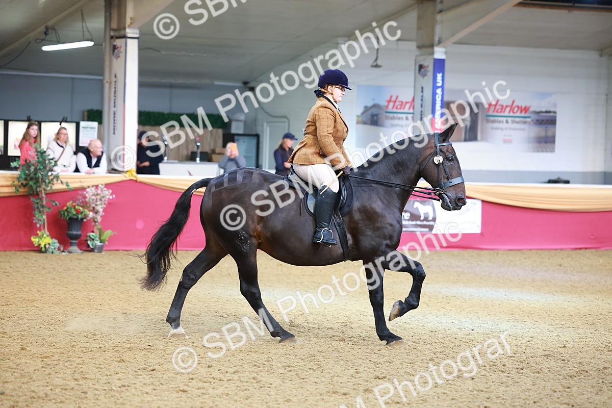 SBM_09509 - Class 102 - HOYS Veteran Qualifier - Ridden Veteran