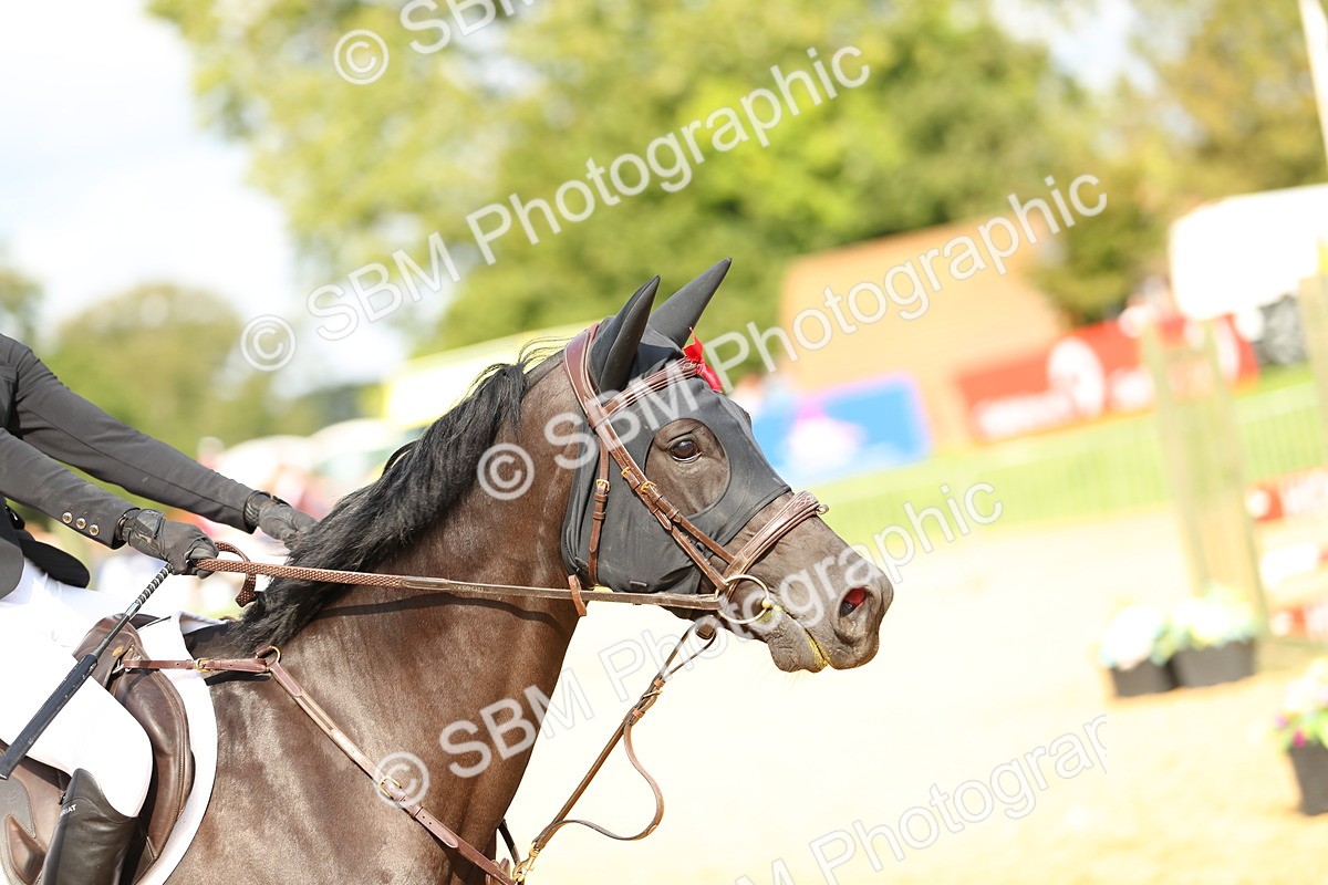 SBM_63075 - J42 - Grand Tour 1.00m Championship