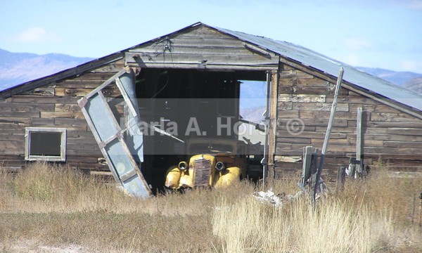 Seen Better Days - Photos