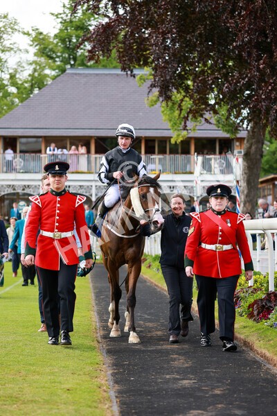 yr21052022r6-29 - Race 6: 4:42pm Yorkshire Regiment Stakes