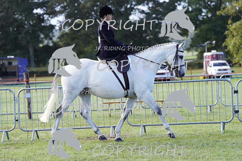 _DSC9315 - Class 8 & 17 Ridden Hunter & Ridden Hunter Pony