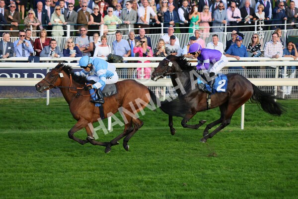 yr08102021r6-12 - Race 6 4.55pm Frank Whittle Partnership British EBF Restricted Novice Stakes