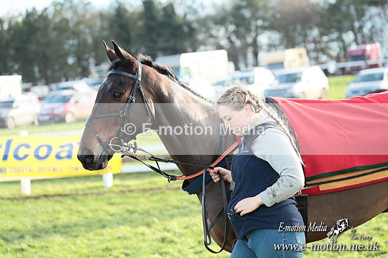 PtP 141225  1946 - New Forest Hounds PtP Larkhill 14/12/25
