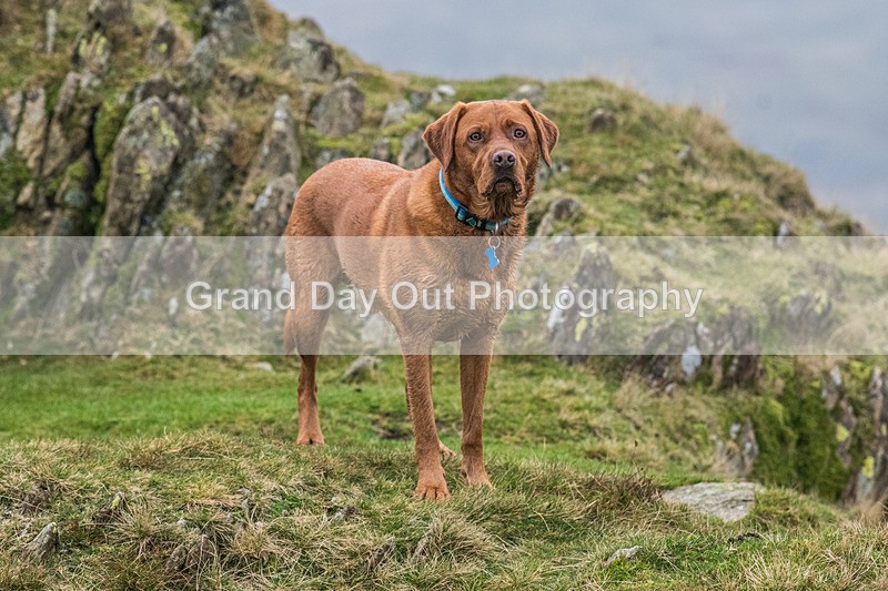 Dunnerdale-2 - Dunnerdale Fell Race Saturday 9th November 2024