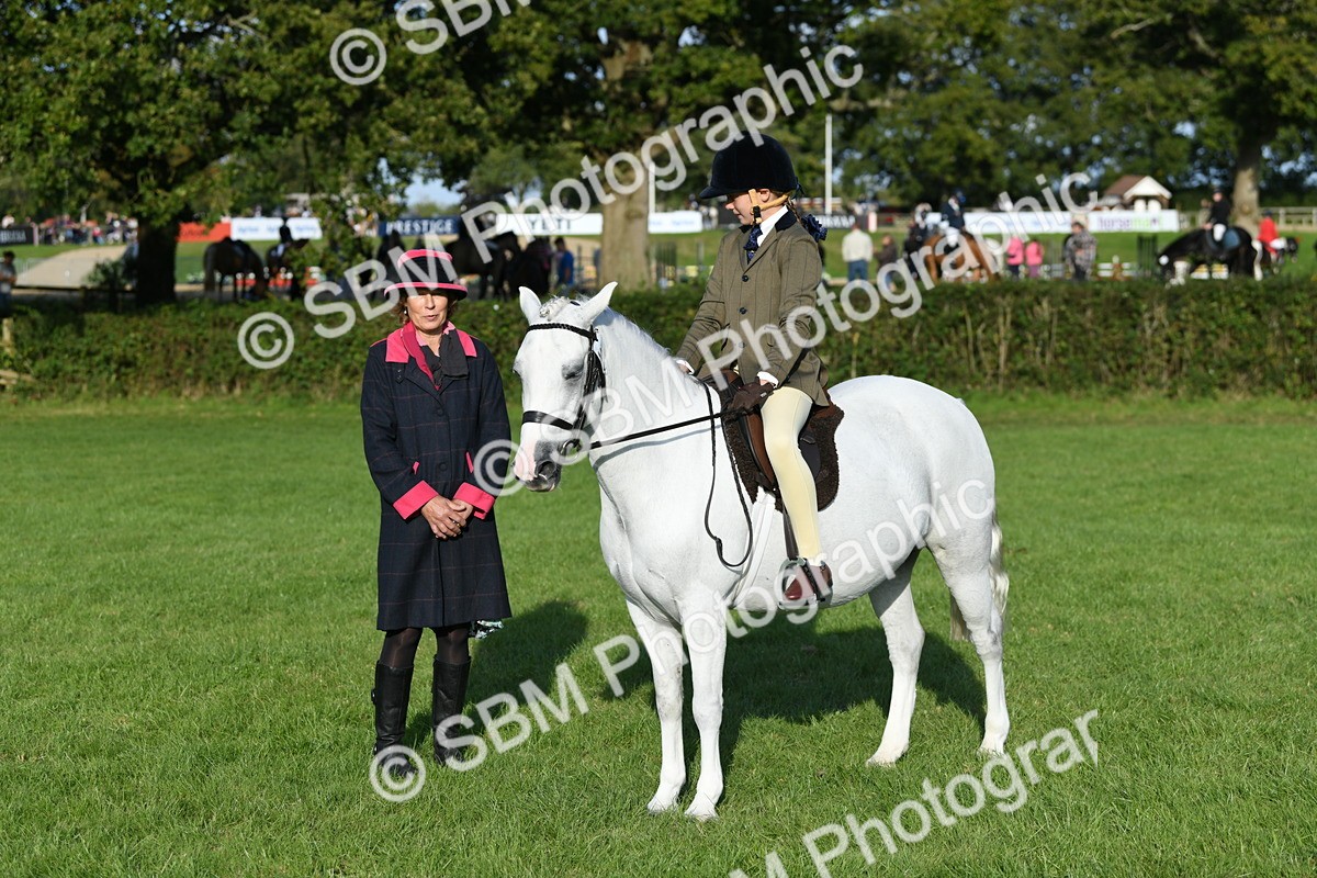 SBM_52413 - S22 - 1st Ridden Show & Show Hunter Pony