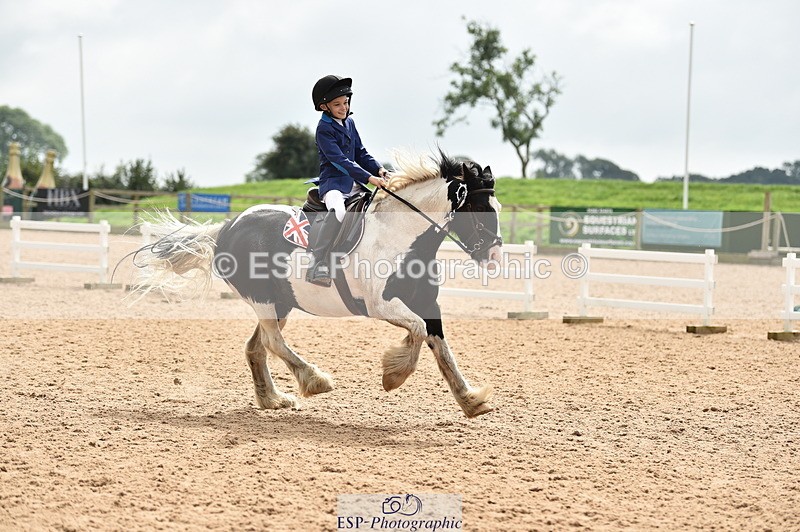 230902A-120834-00946 - Cls 2B Pony Small 80cm