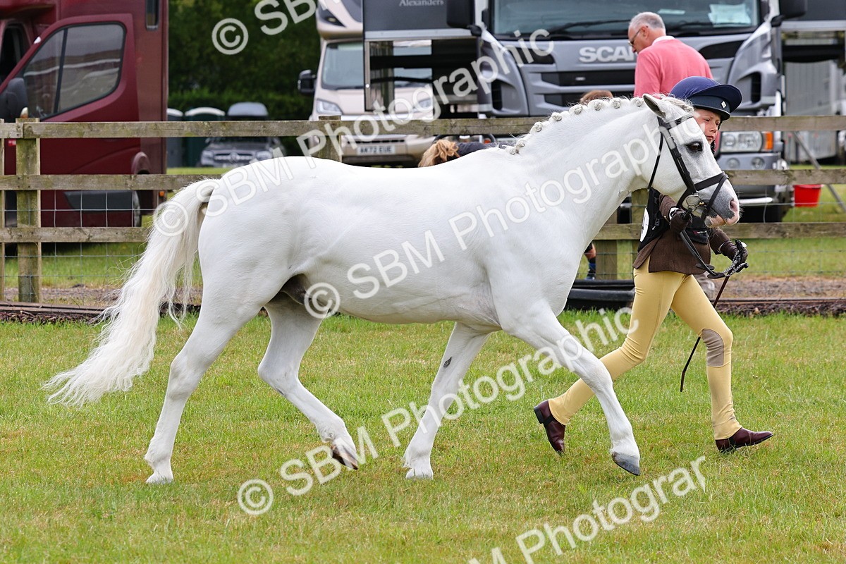 SBM_09611 - Class 44-45 - LIHS BSPS Open Nursery and Cradle Stakes