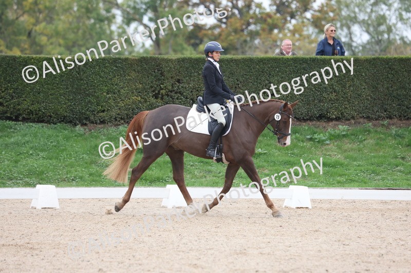 20251011-0376 - Class 4 - Novice 2