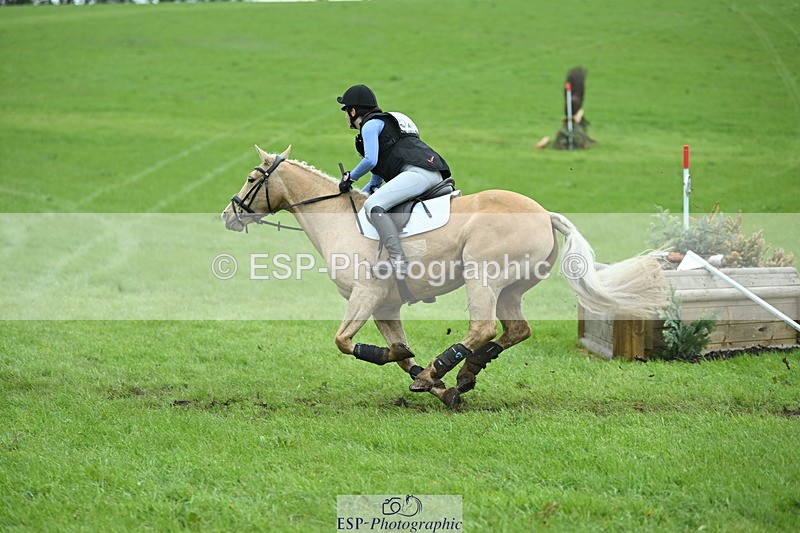 250419-130019-10731 - 523-Kate.Hicks-SWALLOWCROFT.STARDUST