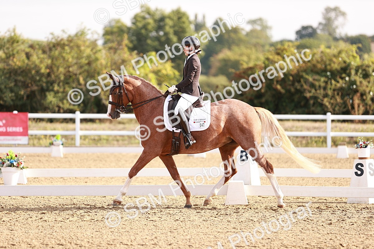 SBM_016852 - Class 10 - Medium 6