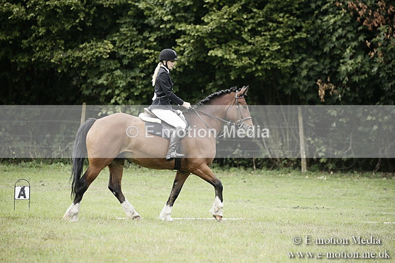 BVR080918 31 - BVRC Novice Dressage & CR 08/09/18