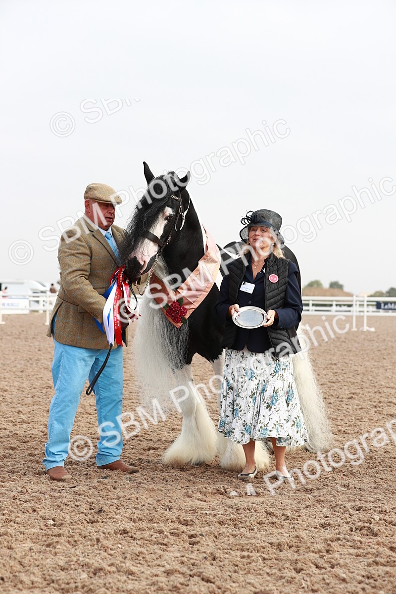 SBM_09561 - Class 201 Best Turned Out IH