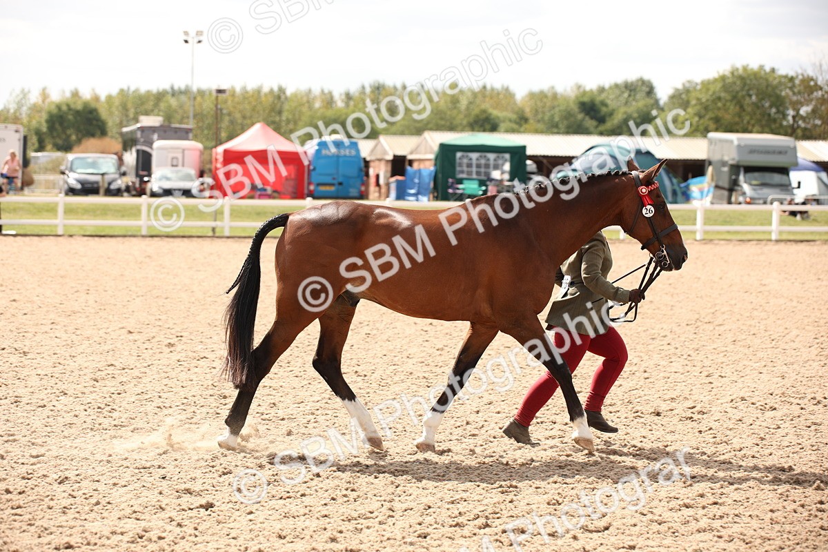 SBM_04633 - Class 20 IH Veteran