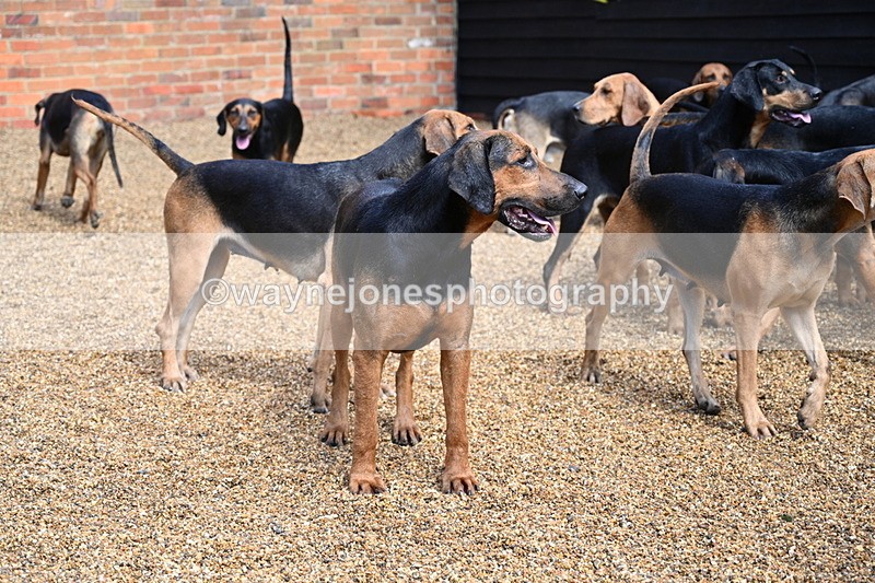 WJ7_7037 - Berks & Bucks at Blandy’s Farm 31-08-25