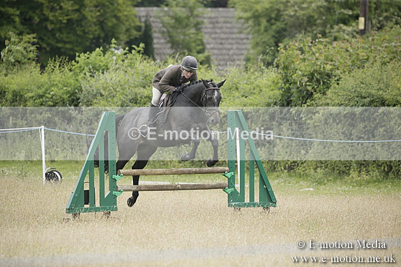 B230619-0735 - Bourne Valley Riding Club Summer Show 23/06/19