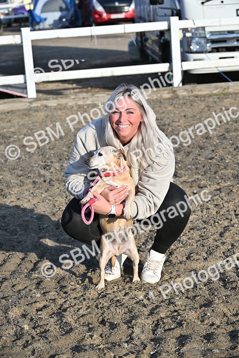 SBM_09436 - Lorry Dogs