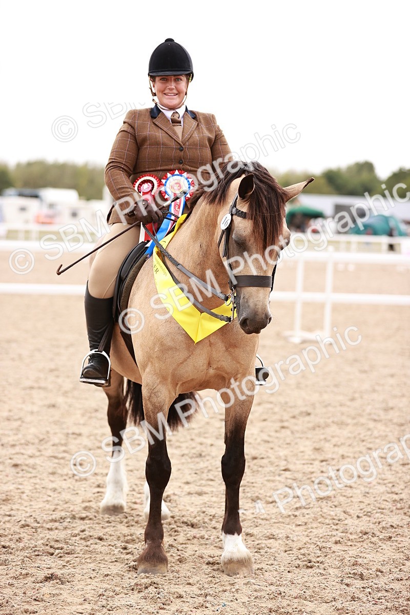 SBM_19086 - Class 422 - Ridden M&M