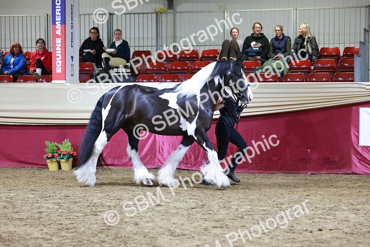 SBM_20816 - Class L - Coloured Champ