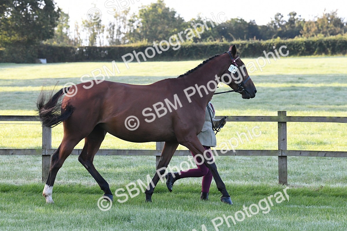 SBM_32532 - S15 - Condition & Turnout In Hand