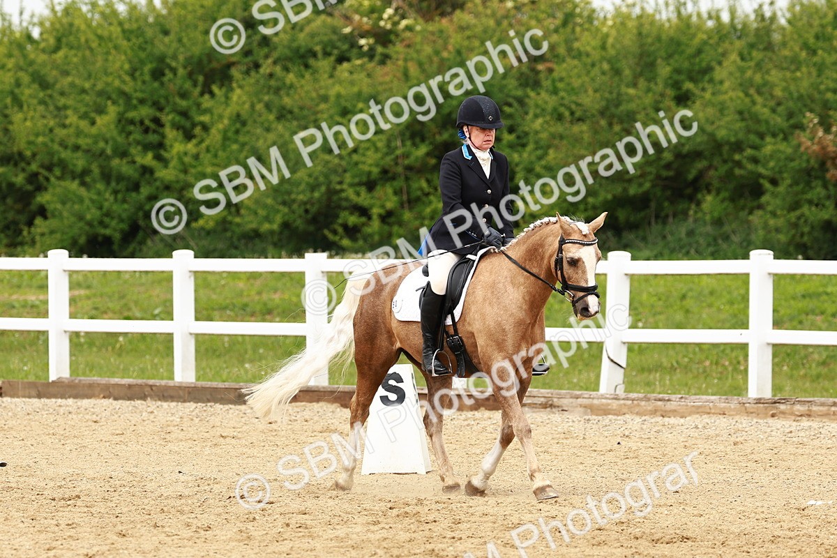 SBM_001774 - Class 7 - Novice 5