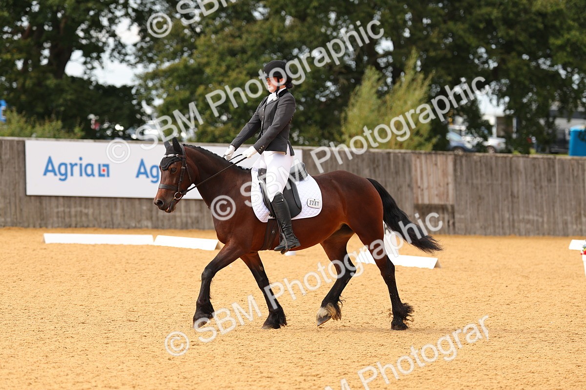 SBM_48251 - D22 - Junior Championship - Intro B