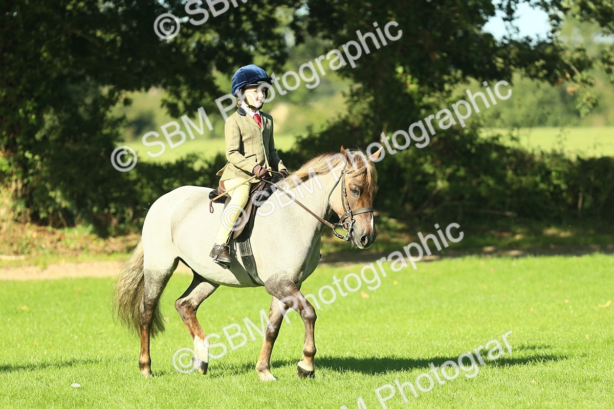 SBM_36439 - S29 - Novice & Newcomers Working Hunter Pony