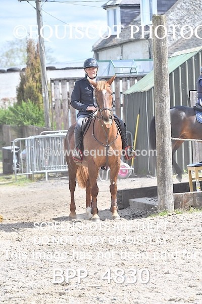 BPP_4830 - CLASS 14  SAT Senior British Novice/ 90cm Open
