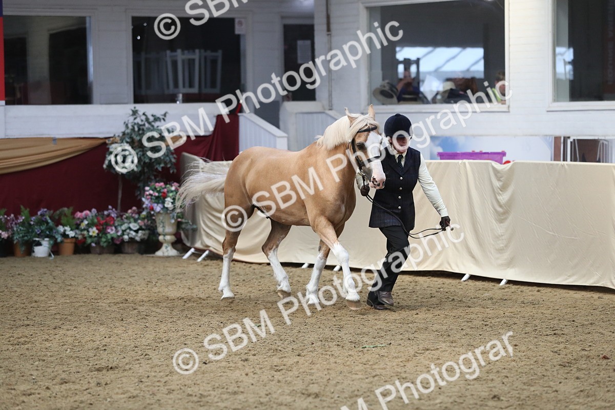 SBM_15346 - Class 501 M&M IH Supreme Final