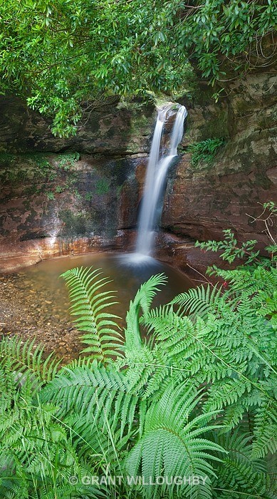  - Woods Trees Gorges and Waterfalls