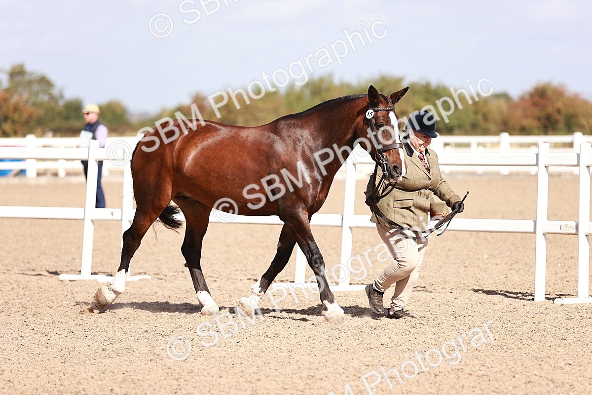 SBM_22955 - Class 707 - IH groom Helpers Class