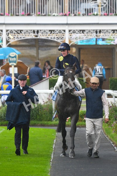 140723-Race 5-Monte Linas-0530 - Race 5 4.25pm Coopers Marquees Handicap