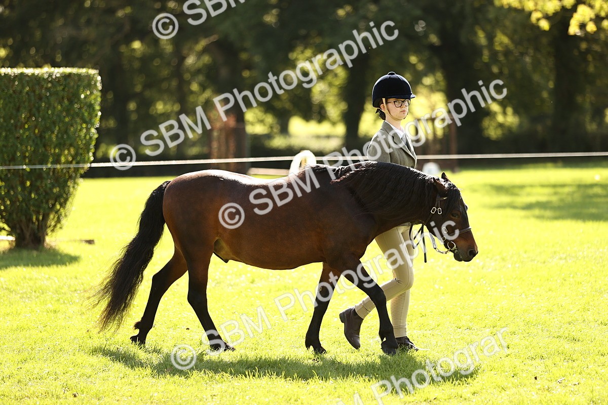 SBM_26121 - S5 - Novice & Newcomers In Hand