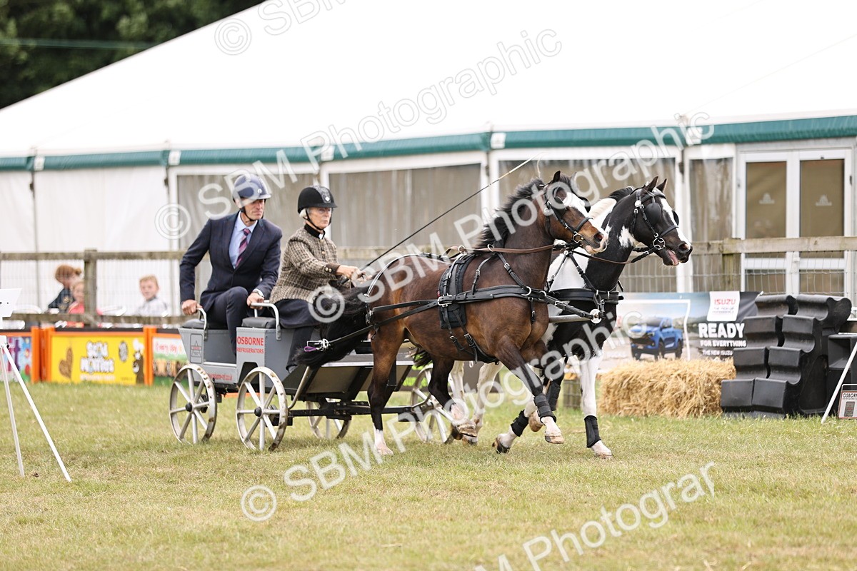 SBM_16010 - Class 91 - Scurry  exceeding 122cms
