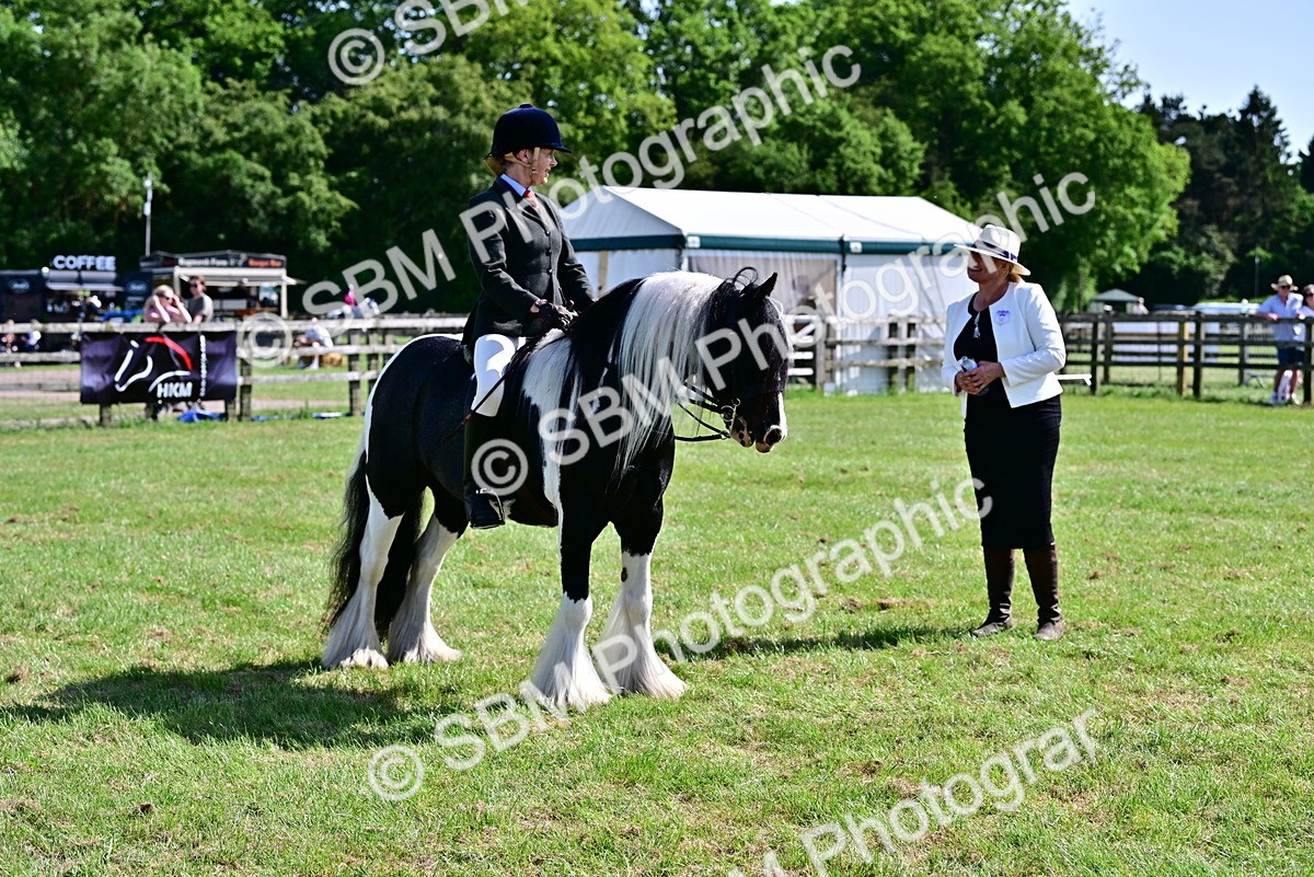 SBM_09339 - Class 63-65 - Traditional Gypsy Cobs In Hand & Ridden