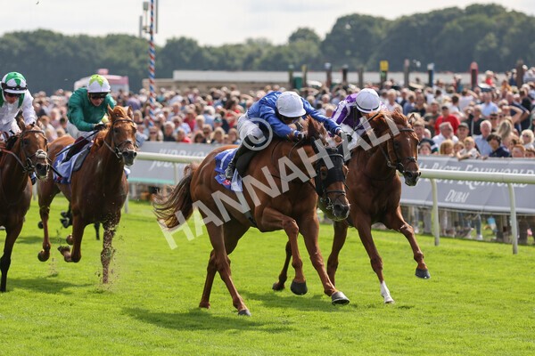 yr18082021r3-63 - Race 3 3.00pm Sky Bet Great Voltigeur Stakes