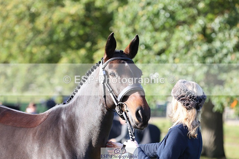 241027-094633-15496 - 316-Abi.Stuart-DUKES.VISION