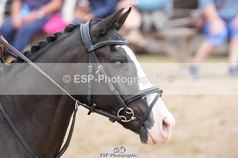 250820A-122155-06280 - Round 2, 11.45 to 12.30 End