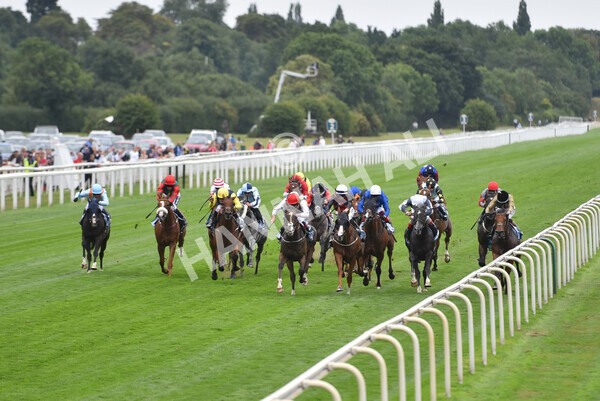 yr18082022r3-31 - Race 3 3.00pm Clipper Logistics Stakes