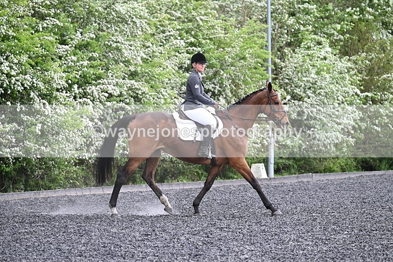 WJ7_1186 - Time 14:16 to 14:55