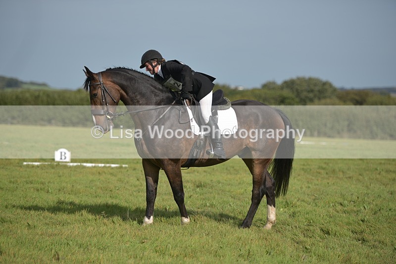 RAY_7998 - Class 2B: Trekenning Open: Dressage