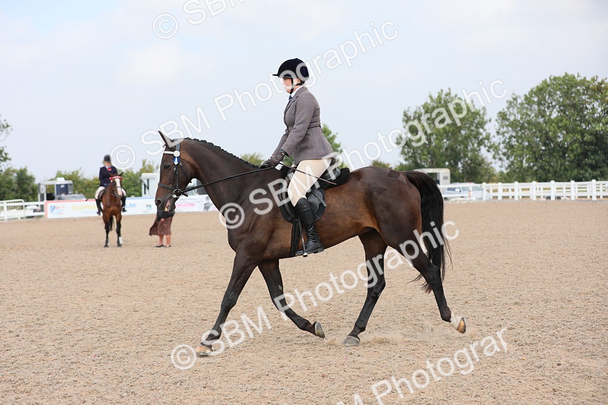 SBM_11448 - Class 305 Ridden Foreign Breeds- Pure Bred