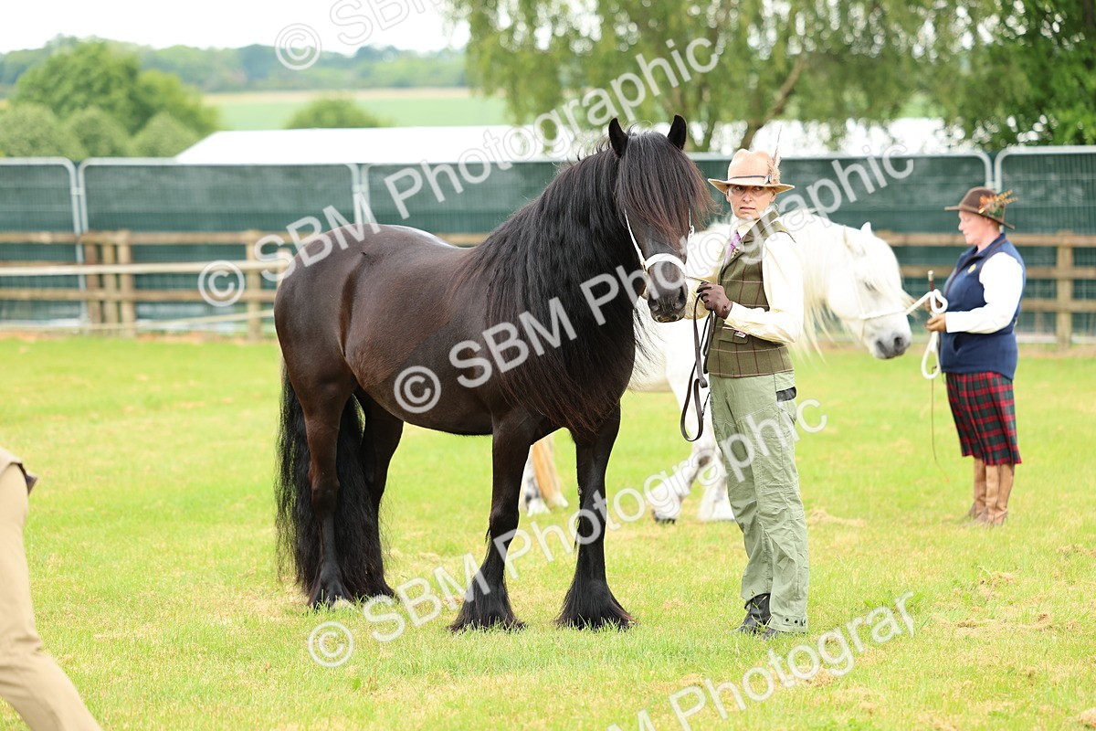 SBM_00553 - Class 58-67 - M&M Non Welsh Pony In hand