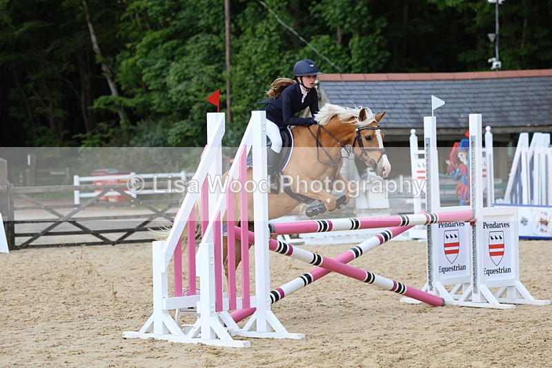 3E7A8513 - Class 14: Pony Newcomers/1m open