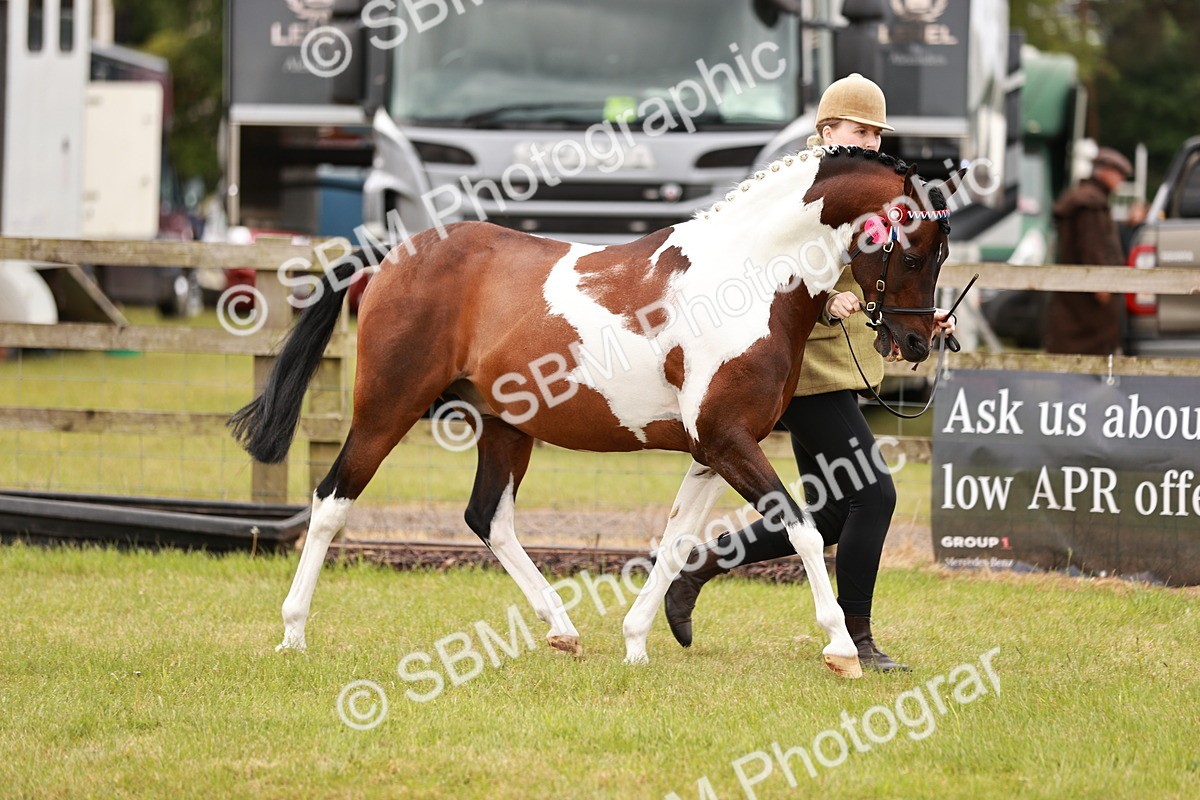 SBM_04605 - Class 5-8 - BSPA In hand
