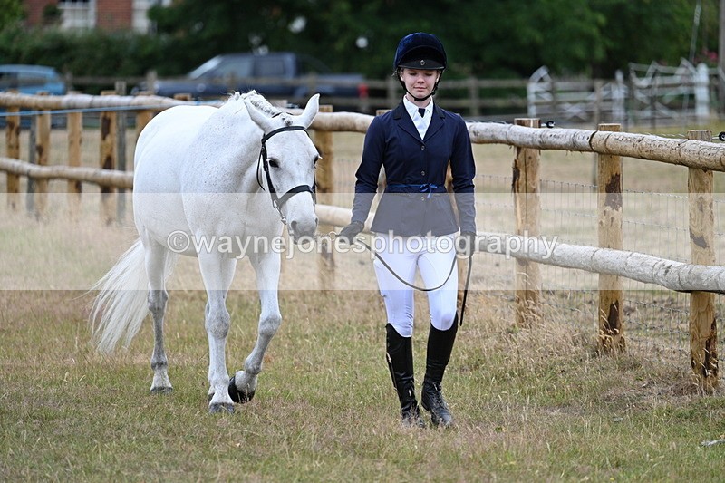 WJ7_9045 - Class 4a Prettiest Mare 14.2hh and over